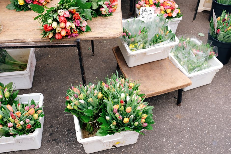 https://harringayflorist.co.uk/blog/haringey-council-rules-for-street-flower-stalls-harringay/
